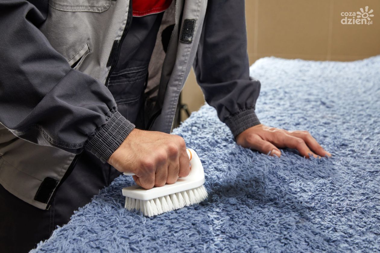 Pranie dywanów krok po kroku – jak przebiega profesjonalna usługa?